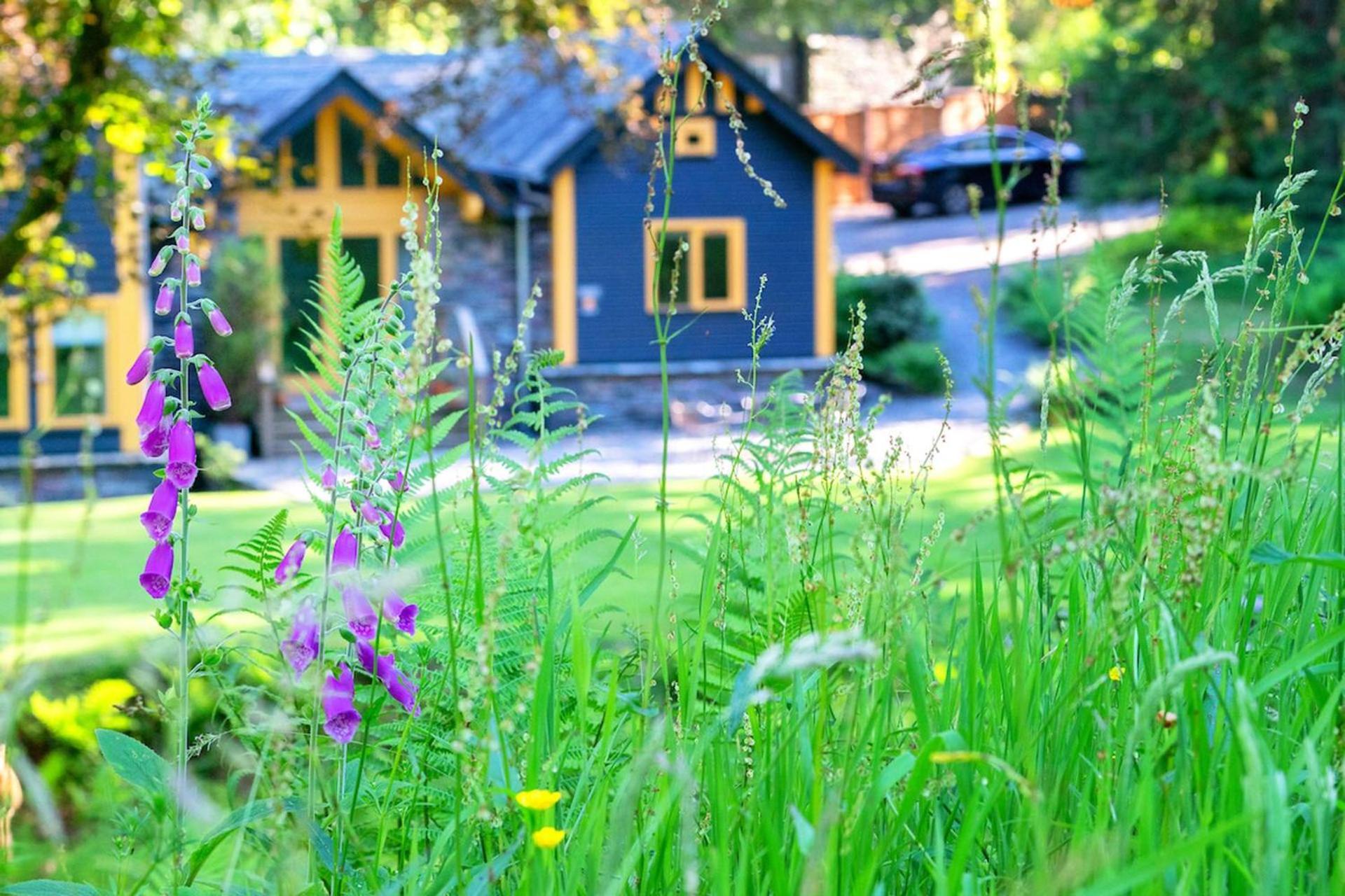 Carr Crag Pavilion Little Langdale Bagian luar foto